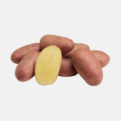 Bio Pootaardappel Alouette