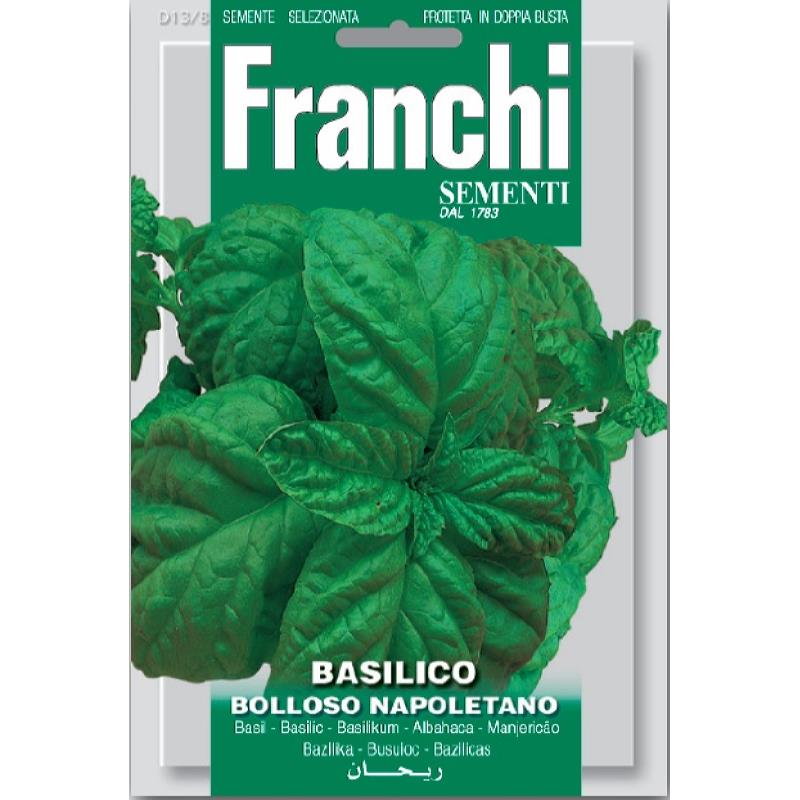 Fr Basilicum, Basilico Bolloso Napoletano