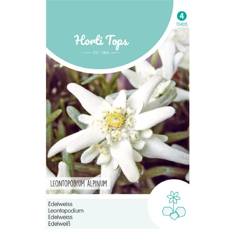 HT Leontopodium alpinum, Edelweiss