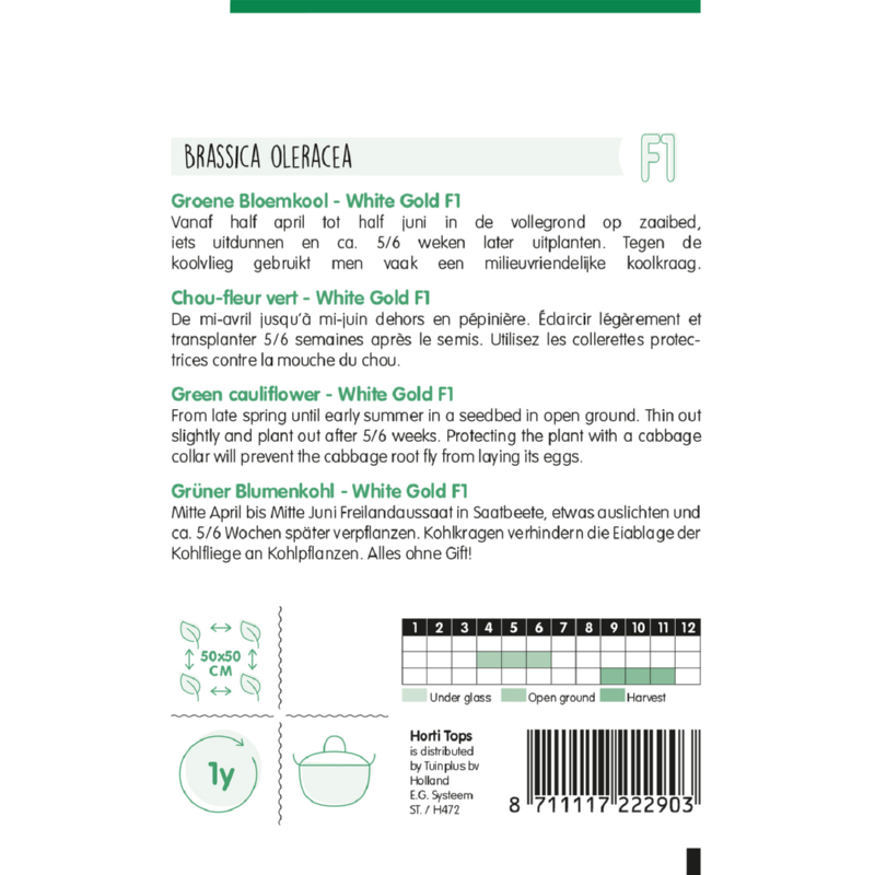 HT Groene Bloemkool, White Gold F1