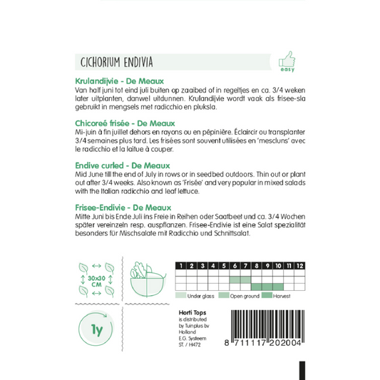 HT Krulandijvie De Meaux