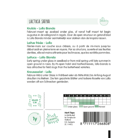 HT Krulsla Lollo Bionda