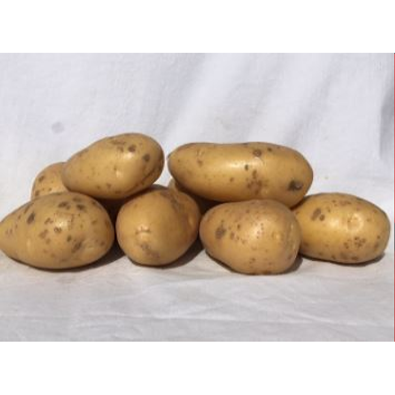 Berber 1kg