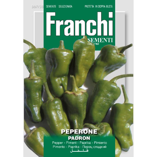 Fr Peper, Peperone Padron