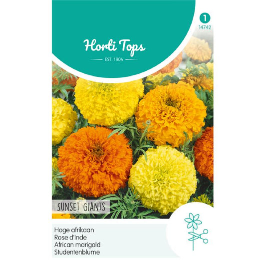 HT Tagetes, hoge Afrikaan Sunset Giants gemengd